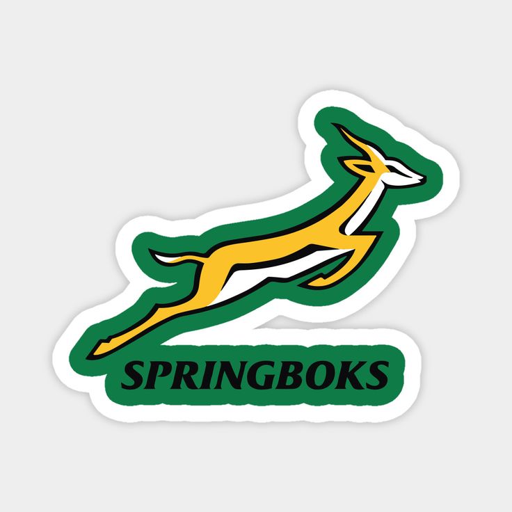 South Africa Springboks
